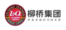 柳桥集团Logo